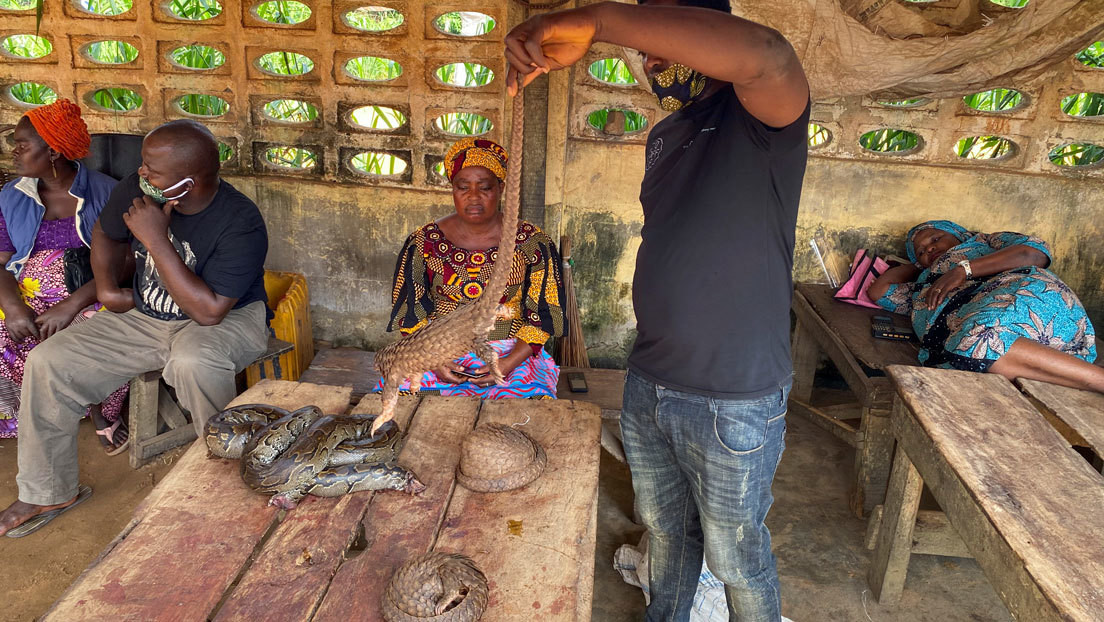 Revelan las deplorables condiciones de un mercado nigeriano donde comercian con animales vivos y muertos