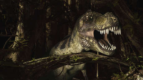 Imagen ilustrativa