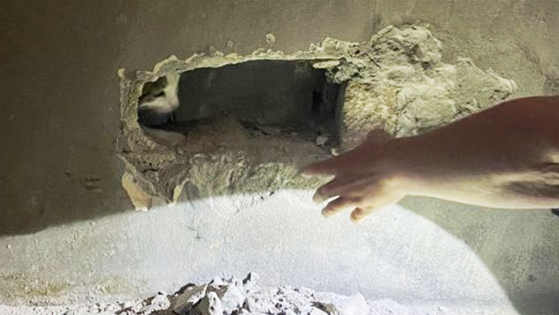 FOTO: Rescatan a una gata que quedó atrapada dentro de una pared durante dos días