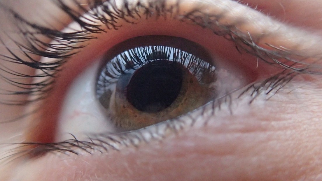 Desarrollan implantes de retina que prometen dar una visión artificial a los ciegos