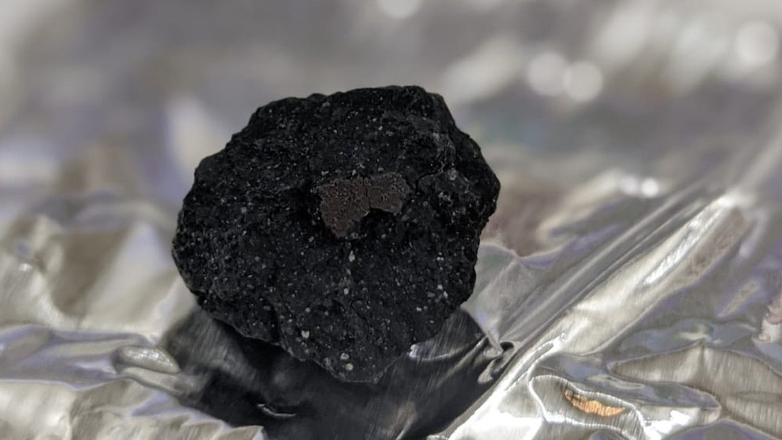 FOTO: Encuentran en su jardín fragmentos de un raro meteorito que puede explicar las primeras etapas del sistema solar
