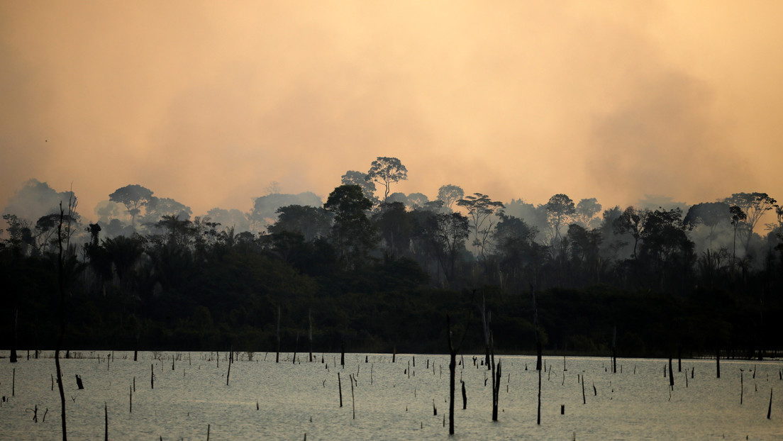 Los bosques del Amazonas, de 'pulmón del planeta' a fuente de calentamiento global
