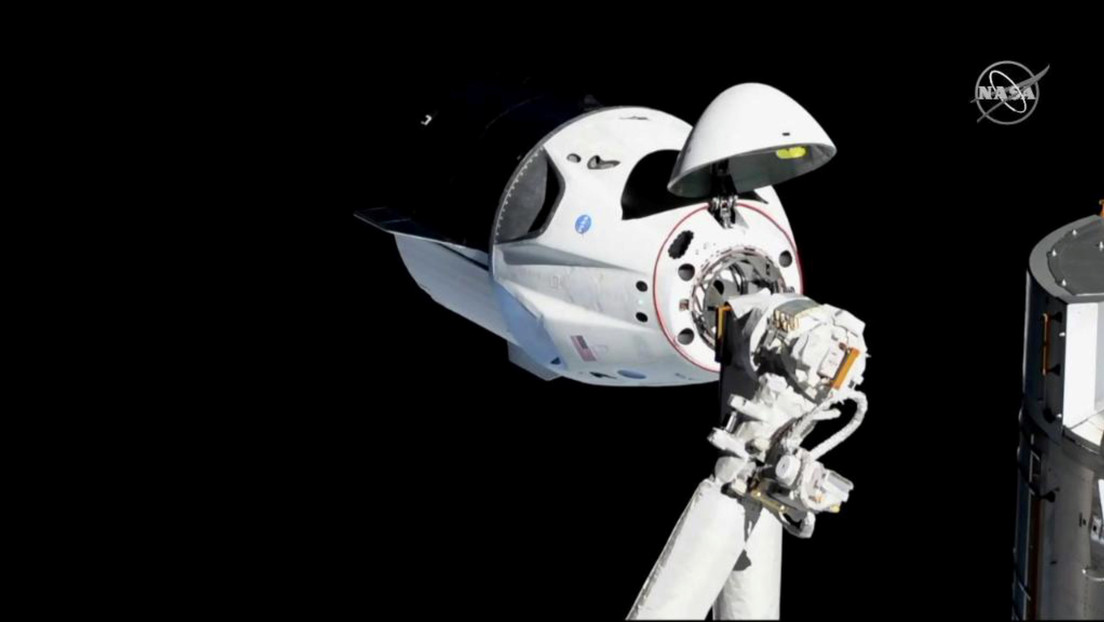 SpaceX revela un nuevo diseño de su nave espacial Dragon que permitirá a los astronautas asomar la cabeza hacia el espacio