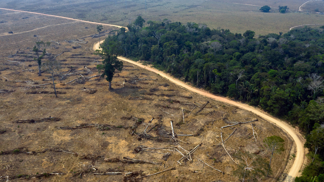"Regularizar tierras ocupadas ilegalmente": Las amenazas que se ciernen sobre la Amazonía en plena pandemia