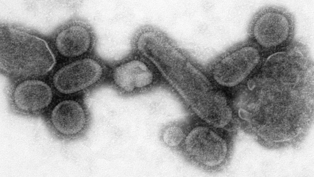 Dos cepas del virus de la gripe humana podrían haberse extinguido gracias a las restricciones anticovid