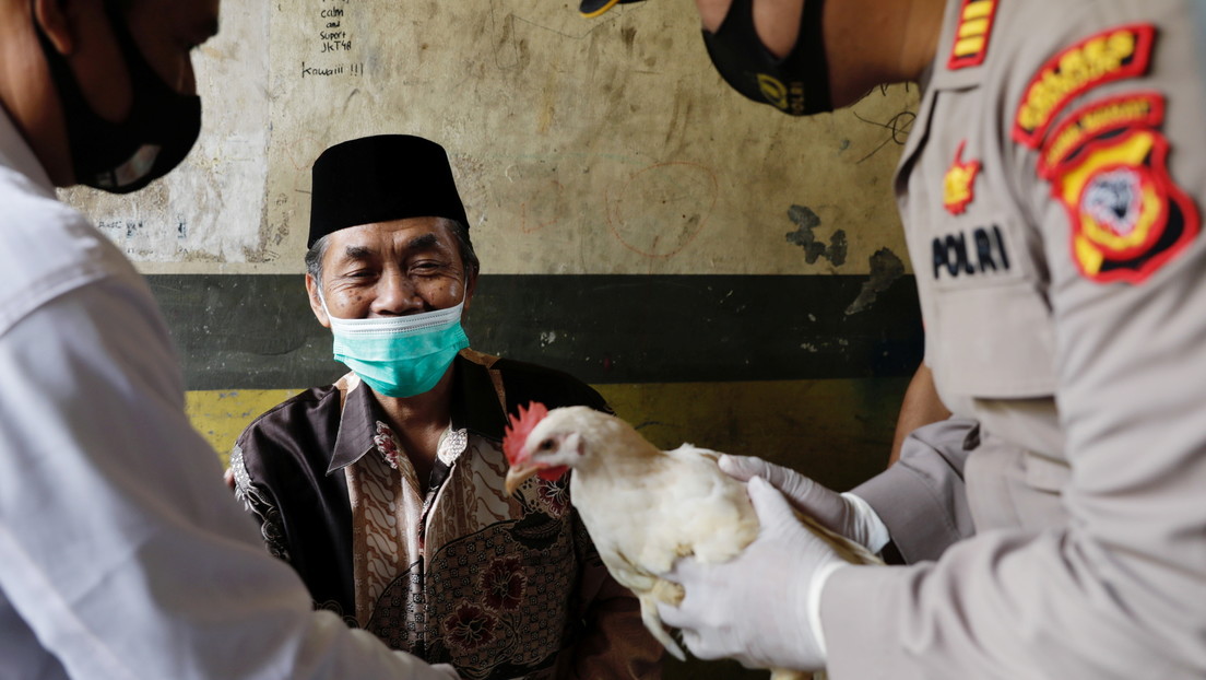 Vacas, pollos, armas, autos o dinero: Los incentivos para acelerar la vacunación contra el covid-19 en distintos países