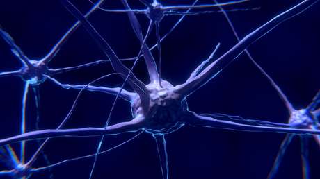 Combinan 225 millones de imágenes para crear el mapa 3D más detallado del cerebro humano (FOTO)