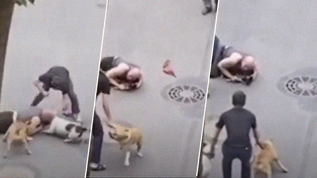 VIDEO: Un hombre cubre con su cuerpo a su viejo perro para protegerlo del feroz ataque de dos american staffordshire terriers