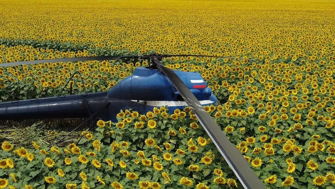 Un helicóptero realiza un aterrizaje forzoso en el sur de Rusia y el piloto lo abandona en medio de un campo de girasoles