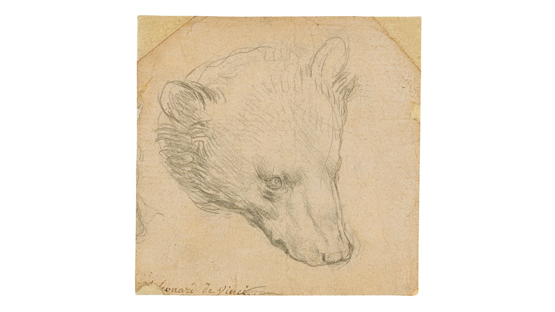 El dibujo 'Cabeza de oso' de Leonardo da Vinci logra un precio récord en una subasta