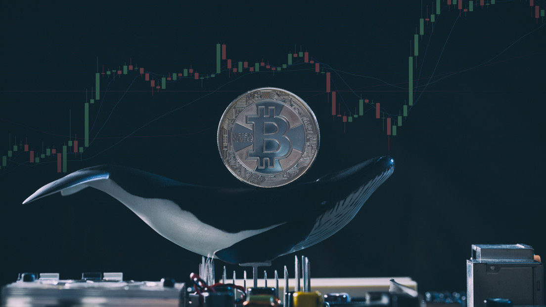 Un inversor 'ballena' compra unos 30.000 bitcoines