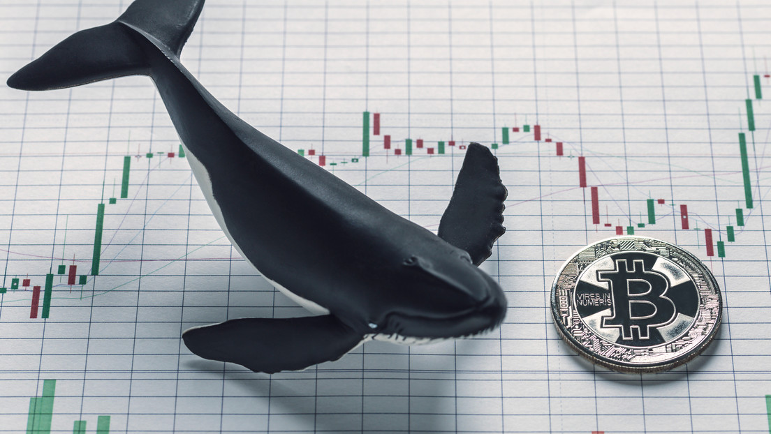 Inversores 'ballena' llenan sus arcas aprovechando la liquidación de bitcoines de mineros