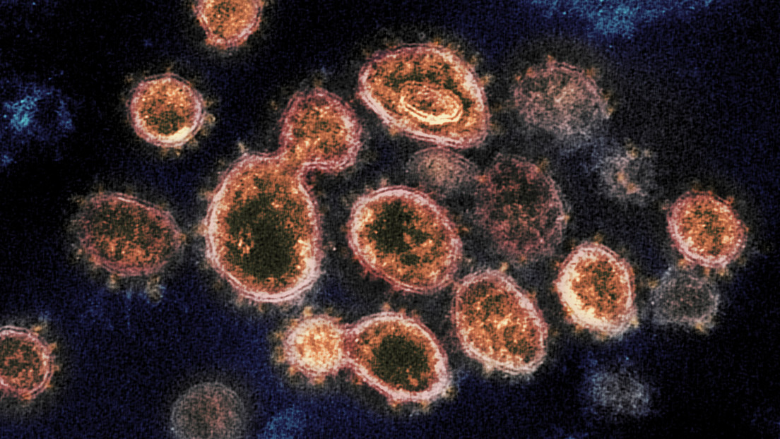 Científicos sugieren que la variante Lambda del coronavirus es "más infecciosa" y puede evadir los anticuerpos neutralizantes