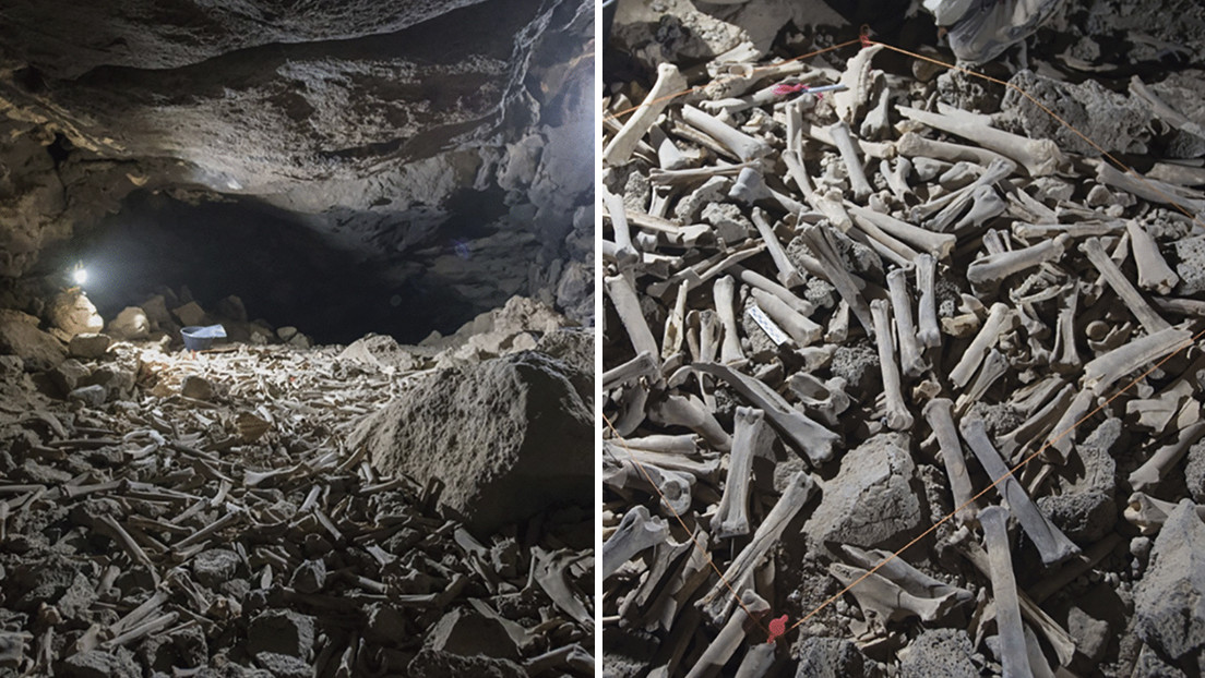 Descubren decenas de miles de huesos, incluidos restos humanos, en una caverna habitada por hienas durante los últimos 7.000 años