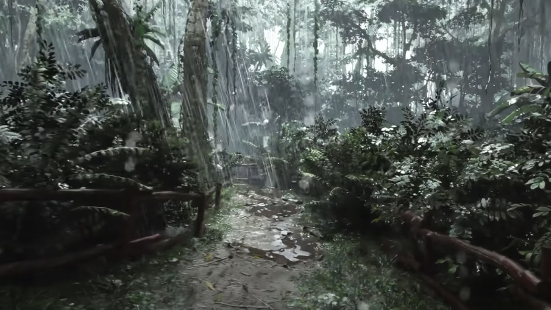 VIDEO: Así es la jungla bajo la lluvia en resolución 8K sobre la base del motor de juego Unreal Engine 5
