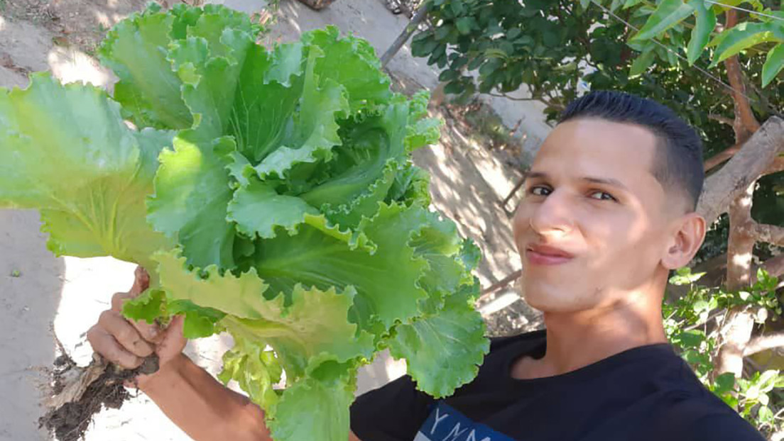 El 'tiktoker' venezolano que se hizo viral enseñando a sembrar vegetales en casa y defiende "lo bonito y honrado" del campo