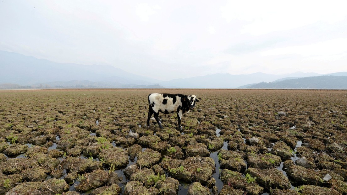 Una 'mancha caliente del sur' contribuye desde el océano Pacífico a la megasequía en Chile