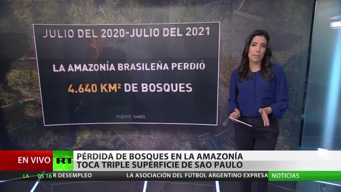 Experto: "El aumento de la deforestación de la Amazonía brasileña se debe a las políticas económicas de Bolsonaro"