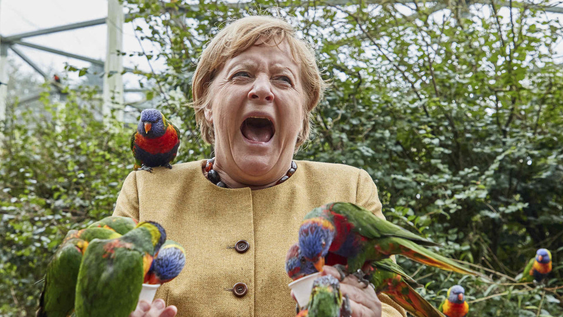 FOTOS: Angela Merkel visita un parque de aves y queda 'cercada' por bandadas de loros