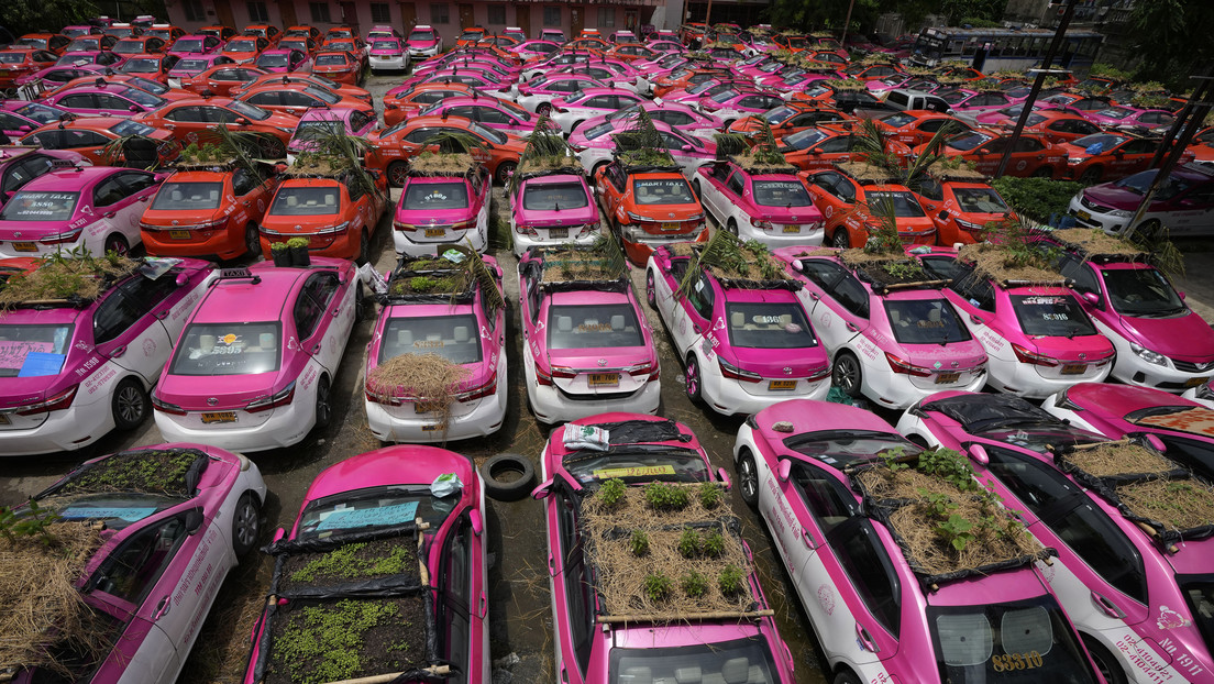 Convierten un 'cementerio' de taxis paralizados por la pandemia en una huerta sobre ruedas en Bangkok (FOTOS)