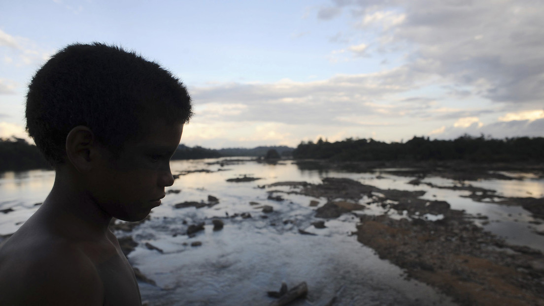 La Amazonía perdió un área equivalente a Chile en un plazo de 36 años