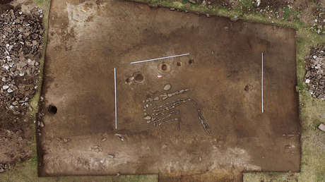 FOTOS: Hallan en Siberia un geoglifo único en forma de toro el doble de antiguo que los de Nazca