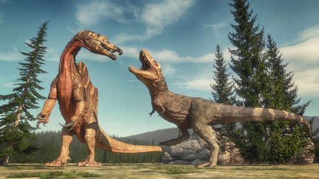 Erupciones volcánicas masivas hace 230 millones de años habrían desencadenado 'megamonzones' que dieron paso al dominio de los dinosaurios