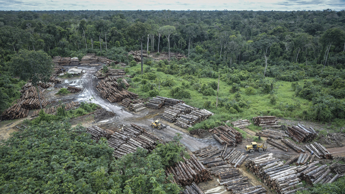 El cambio climático y la deforestación en la Amazonía pueden exponer a 12 millones de brasileños a un calor extremo en 2100