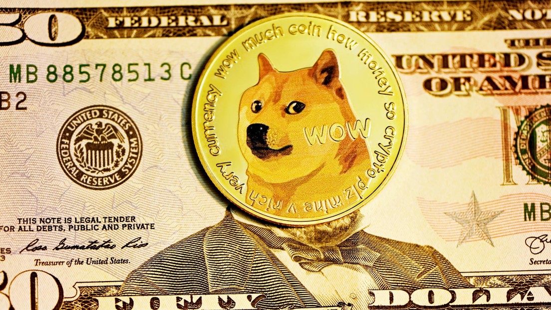Compra Shiba Inu por un valor de 3.400 dólares en agosto de 2020 y la criptomoneda meme lo convierte en multimillonario