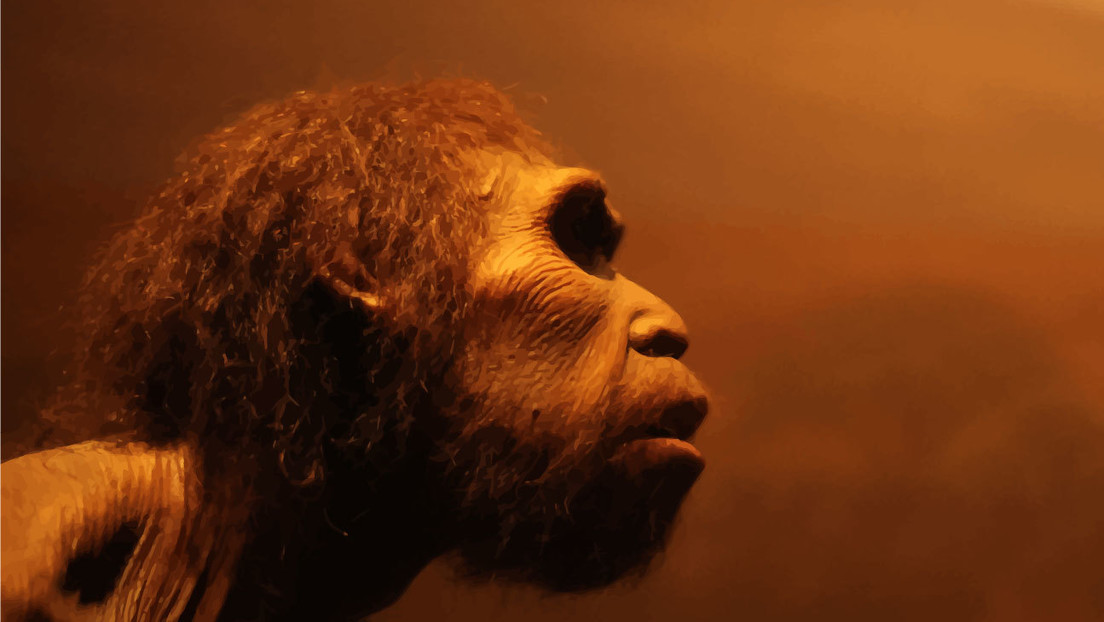 Nombran una nueva especie de humano primitivo que vivió hace 500.000 años