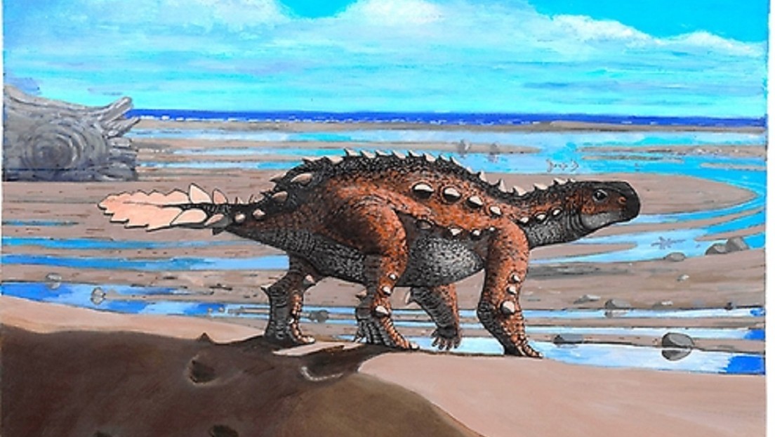 Descubren en Chile una nueva especie de dinosaurio con una inusual cola similar a un arma de los antiguos aztecas