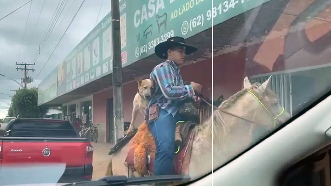 Un perro sorprende a los habitantes de una ciudad brasileña al pasear por las calles montando a caballo (VIDEO)