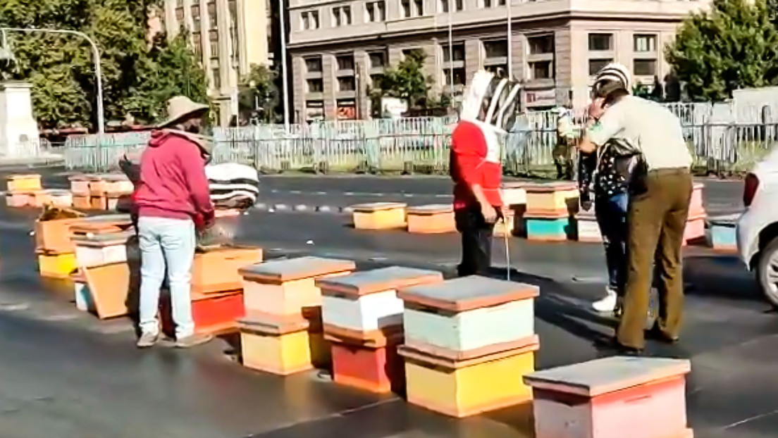 Cuatro detenidos y varios policías con picaduras de abejas es el saldo de una inusual protesta en Chile