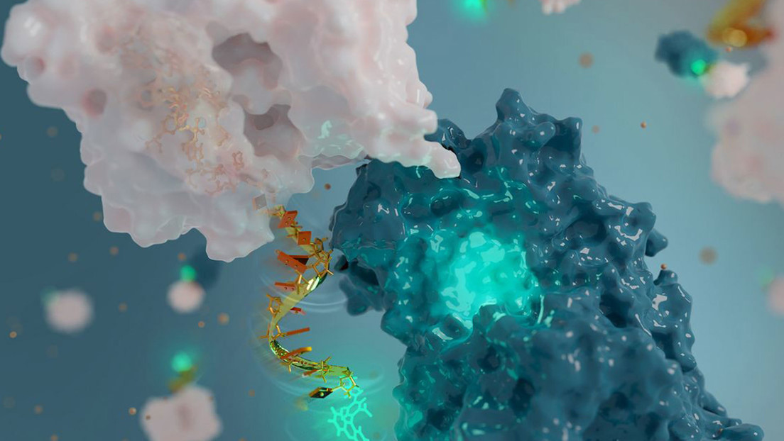 Científicos usan moléculas de ADN para crear la antena más diminuta del mundo, capaz de monitorear proteínas en el cuerpo