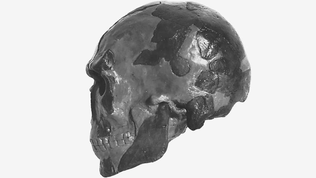 Uno de los fósiles más antiguos del ser humano moderno es en decenas de milenios más antiguo que se creía