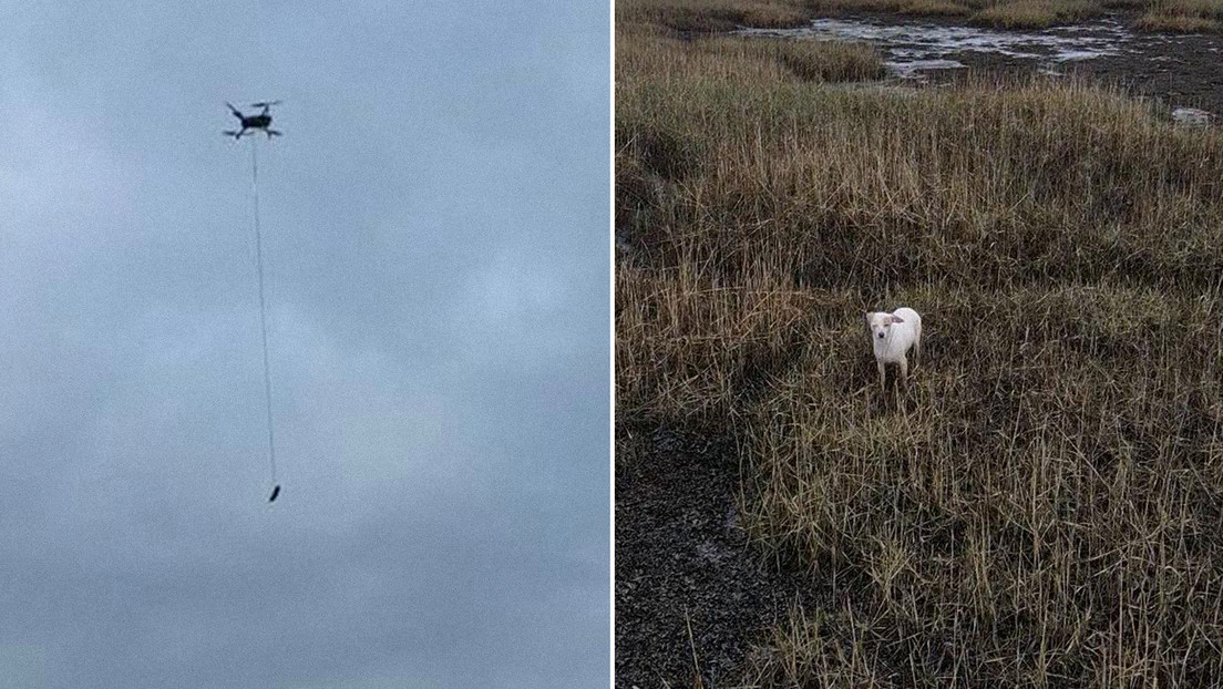 Logran sacar a un perro de una marisma usando una salchicha atada a un dron