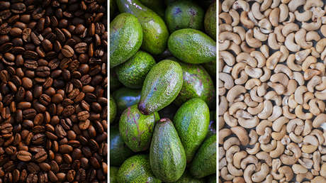 Cómo podría afectar el cambio climático al café, los aguacates y los anacardos en los próximos 30 años