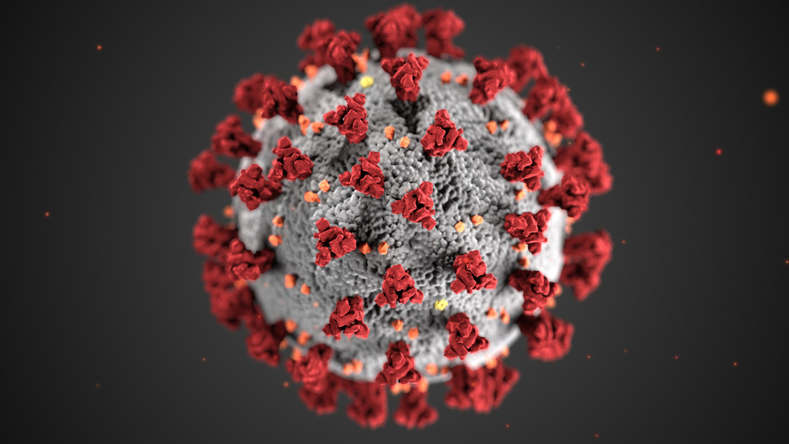 Qué reveló el primer experimento con voluntarios infectados deliberadamente con coronavirus