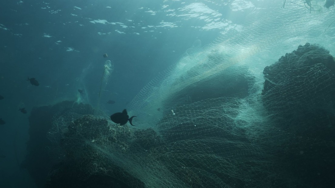 Samsung incorporará plásticos reciclados de redes de pesca abandonadas en sus nuevos teléfonos