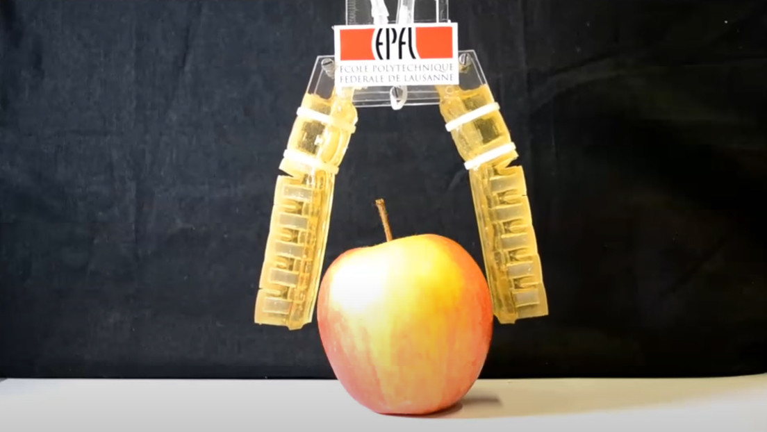 VIDEO: Crean robots blandos en 3D a partir de azúcar, gelatina, ácido cítrico y glicerol