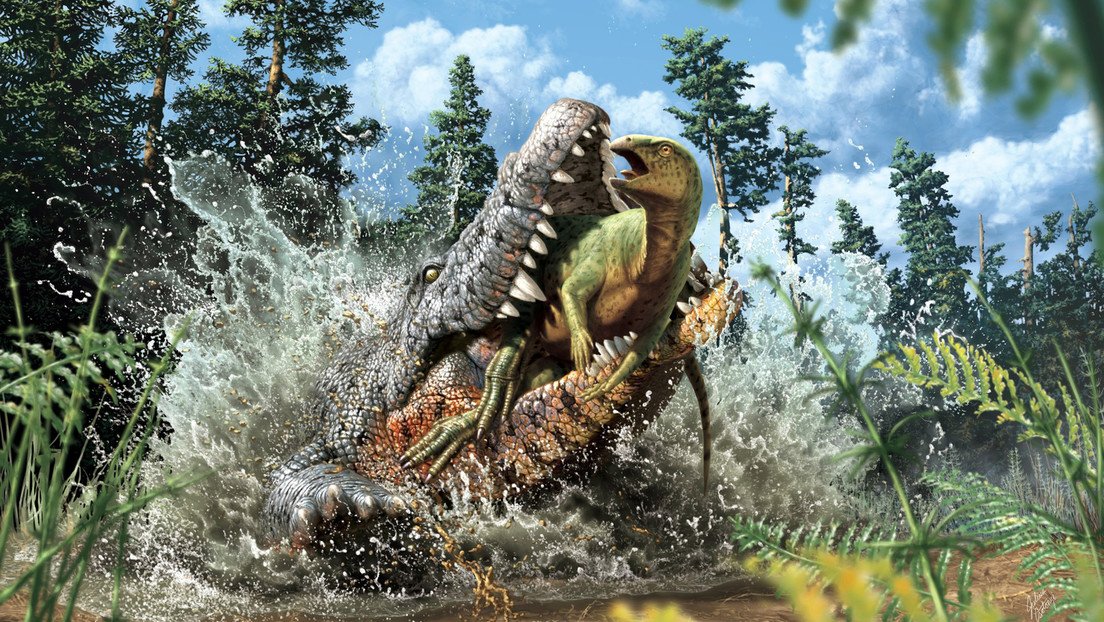Descubren en Australia una nueva especie de cocodrilo 'asesino de dinosaurios' de hace 95 millones de años