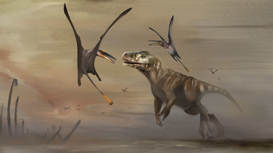 Descubren una nueva especie de pterosaurio jurásico de hace 170 millones de años, el más grande que se conoce de este periodo