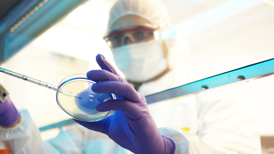 La OMS recomienda a Ucrania que destruya los patógenos altamente peligrosos en sus laboratorios biológicos