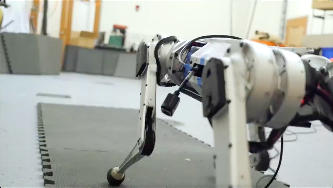VIDEO: El Mini Chita robot del MIT aprende por inteligencia artificial a correr y alcanza un récord de velocidad