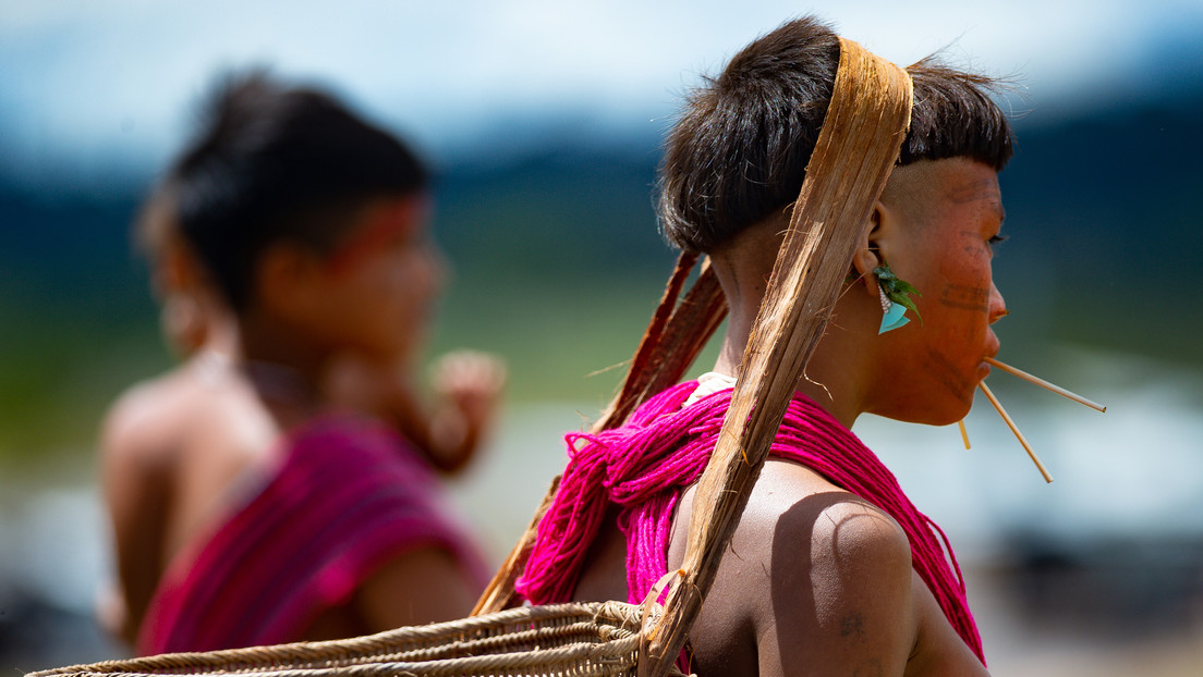 Un informe denuncia que mineros ilegales ofrecen comida a cambio de sexo con mujeres y menores yanomamis en Brasil