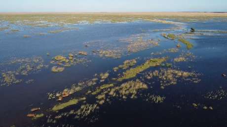 VIDEO: Imágenes a vista de dron muestran las inundaciones en la provincia argentina de Corrientes tras devastadores incendios forestales