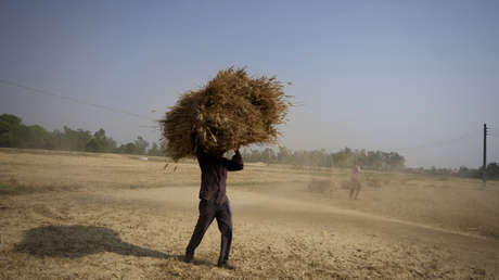 Una ola de calor extremo en la India y Pakistán amenaza la salud de la población y provoca escasez de energía y agua