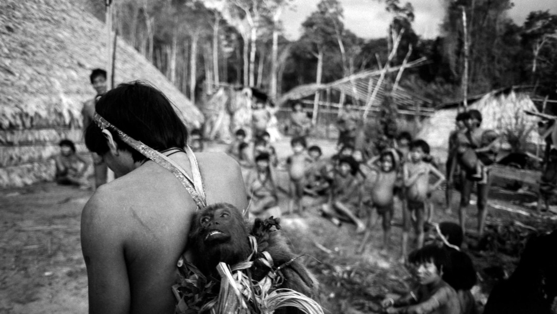 ¿Dónde están los yanomamis? Lo que se sabe de la desaparición de 25 indígenas de una misma aldea en Brasil