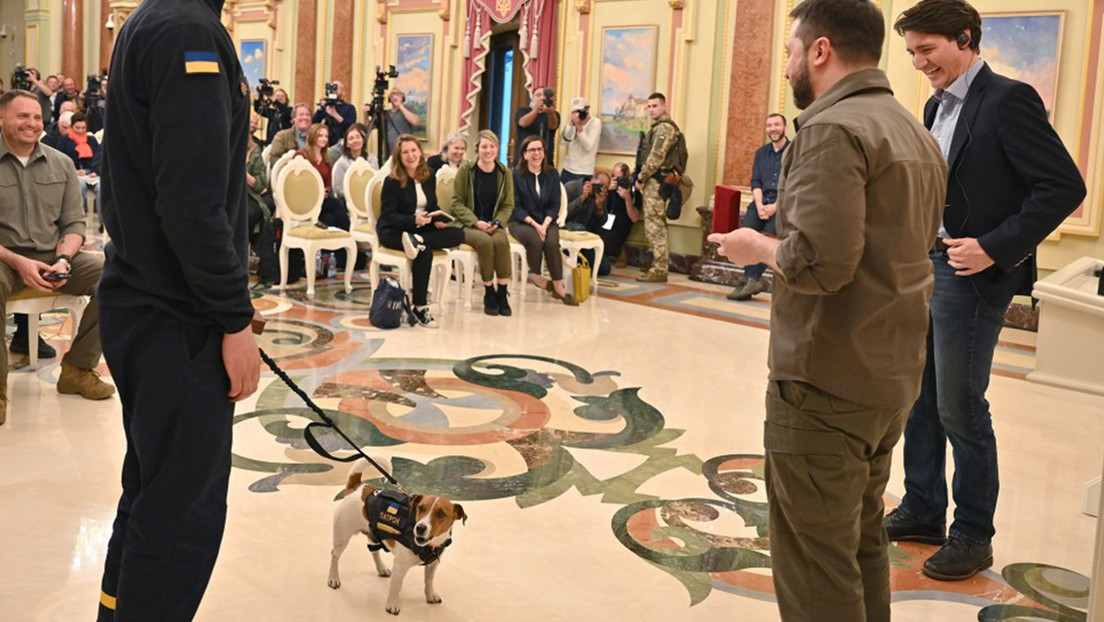 Zelenski condecora a un pequeño perro zapador, que recibió a ladridos al primer ministro de Canadá (VIDEO)