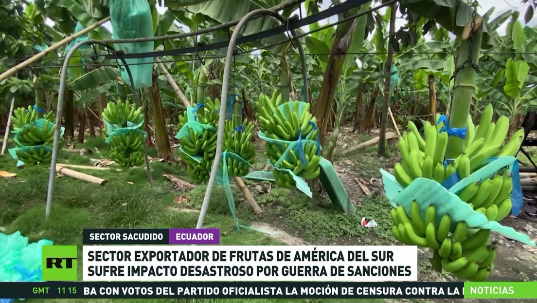 El sector exportador de frutas de América del Sur sufre un impacto desastroso por las sanciones a Rusia